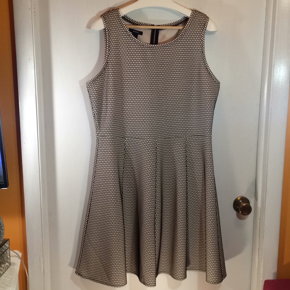 Alfani Netted Dress